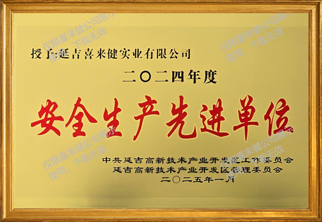 2024年度安全生产先进单位