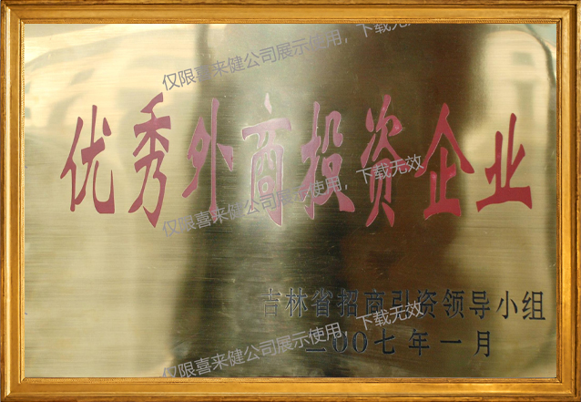 优秀外商投资企业