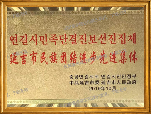 延吉市民族团结进步先进集体