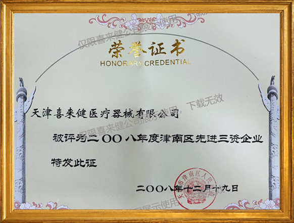 2008年津南区先进三资企业