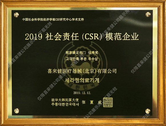 2019年社会责任(CSR)模范企业奖牌
