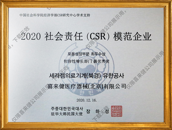 2020年社会责任(CSR)模范企业奖牌